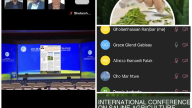 مشارکت فعال اعضای هیات علمی مرکز ملی تحقیقات شوری در کنفرانس بین‌المللی شورورزی چین