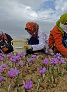 زنان روستایی و عشایری