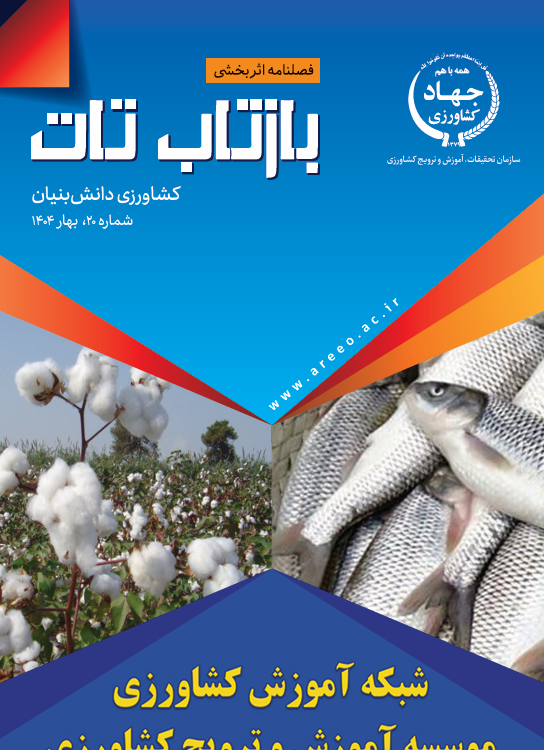 شماره ۲۰