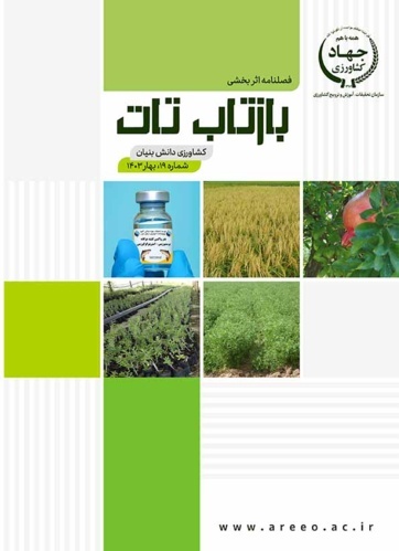 شماره 19