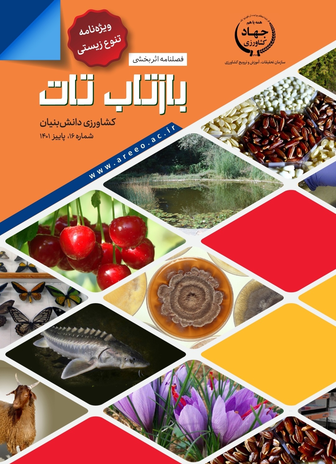 فصلنامه شماره 16