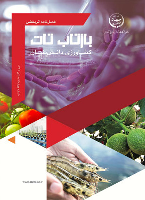 فصلنامه شماره 4