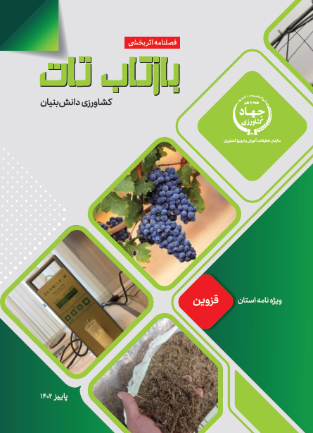 قزوین
