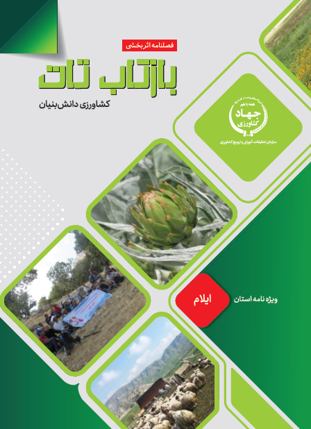 ایلام