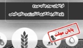 پایان مهلت سومین فراخوان «جذب مروج- پژوهشگر پسادکتری کشاورزی و منابع طبیعی»