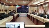 احداث باغات دیم در ایلام، ارزش افزوده اقتصادی بیشتری دارد