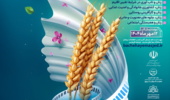 به مناسبت روز جهانی زنان روستایی و عشایری