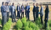بازدید مسئولان ارشد سازمان تات از مرکز تحقیقات و آموزش کشاورزی و منابع طبیعی استان ایلام و سازمان جهاد کشاورزی استان ایلام به همراه مشاور معاون وزیر و مدیر کل دفتر حوزه ریاست سازمان