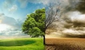 تغییر زمان برگزاری همایش تغییر اقلیم به دلیل مصوبه کمیته اضطرار آلودگی هوا
