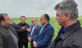 بازدید گلمحمدی از دستاورد راهبردی سازمان تات؛ توسعه کشت کاملینا در گلستان شتاب گرفت