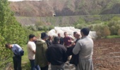 برگزاری سه دوره آموزشی در کردستان برای توانمندسازی بهرهبرداران؛ گامی در مسیر تحقق «سال آموزش و ترویج تات»