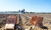 آغاز عملیات کاشت آزمایشهای بهاره چغندرقند ۱۴۰۵ در ایستگاه تخصصی کشور