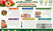 ارائه توصیههای فنی برای حفظ کیفیت محصولات باغی پس از برداشت