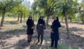 بازدید محققین مرکز تحقیقات و آموزش کشاورزی و منابع طبیعی استان کرمان از شهرستان رابر