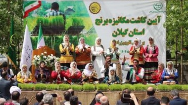 آغاز رسمی نشای مکانیزه برنج در گیلان