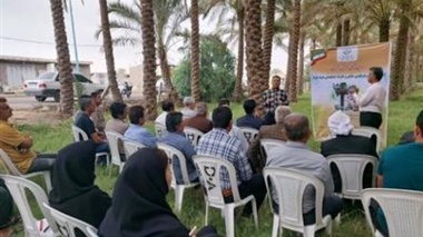 ارائه راهکارهای علمی مدیریت آفت سوسک سرخرطومی حنایی و عارضه خشکیدگی خوشه خرما
