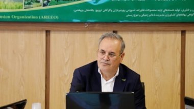 تدوین سند دانش‌بنیان و همکاری بین‌المللی برای توسعه برنج کشور