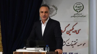 معاون امور زراعت وزارت جهاد کشاورزی خبر داد: