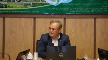 برگزاری جلسه بررسی سیاستگذاری همکاری با کشور چین در سازمان تات