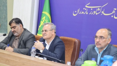 حمایت ۲۵ درصدی تات از پایان‌نامه‌های مسئله‌محور و جهش تولید برنج هیبرید