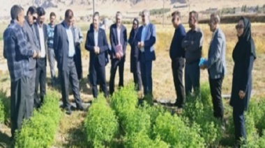 بازدید مسئولان ارشد سازمان تات از مرکز تحقیقات و آموزش کشاورزی و منابع طبیعی استان ایلام و سازمان جهاد کشاورزی استان ایلام به همراه مشاور معاون وزیر و مدیر کل دفتر حوزه ریاست سازمان