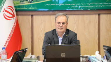 ارتقاهای جدید اعضای هیات علمی به مرتبه های استادی، دانشیاری و استادیاری