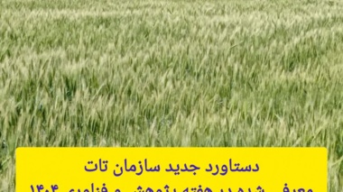 جهش ۱۰۰ درصدی عملکرد گندم دیم با مصرف بهینه کود اوره