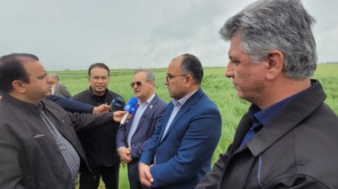 بازدید گل‌محمدی از دستاورد راهبردی سازمان تات؛ توسعه کشت کاملینا در گلستان شتاب گرفت