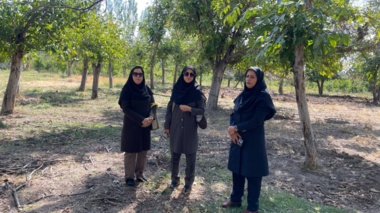 بازدید محققین مرکز تحقیقات و آموزش کشاورزی و منابع طبیعی استان کرمان از شهرستان رابر